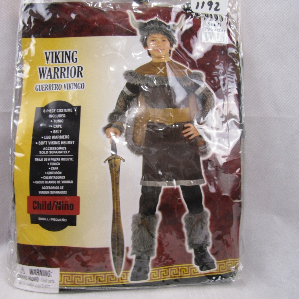 Viking Costume